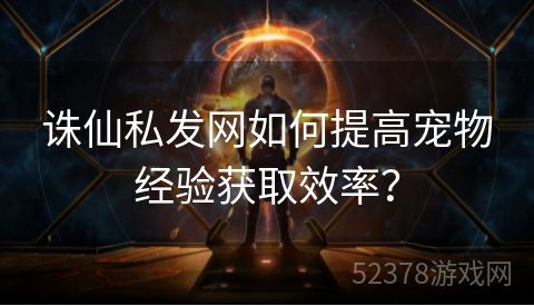 诛仙私发网如何提高宠物经验获取效率？