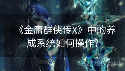 《金庸群侠传X》中的养成系统如何操作？