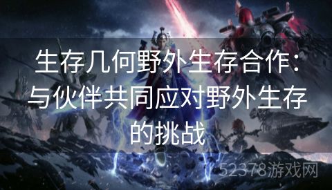 生存几何野外生存合作：与伙伴共同应对野外生存的挑战