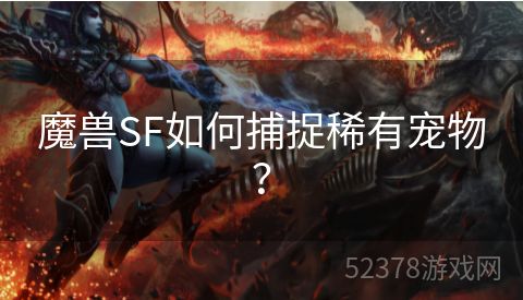 魔兽SF如何捕捉稀有宠物？