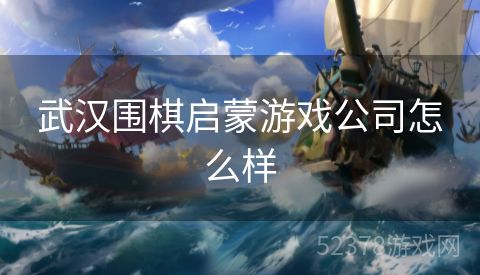 武汉围棋启蒙游戏公司怎么样