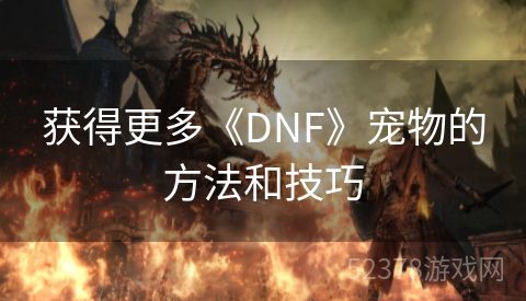 获得更多《DNF》宠物的方法和技巧