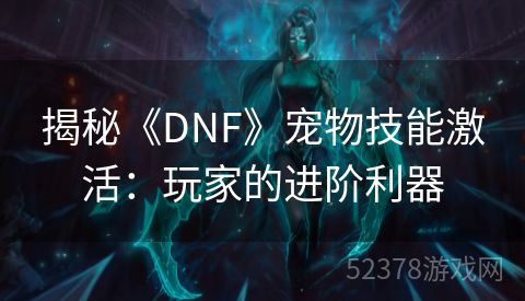 揭秘《DNF》宠物技能激活：玩家的进阶利器