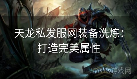 天龙私发服网装备洗炼：打造完美属性