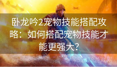 卧龙吟2宠物技能搭配攻略：如何搭配宠物技能才能更强大？