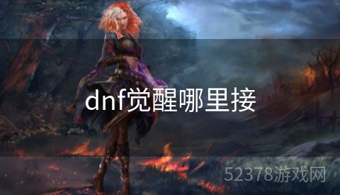 dnf觉醒哪里接