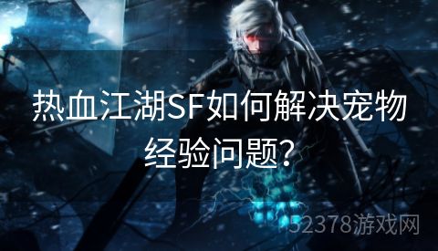 热血江湖SF如何解决宠物经验问题？