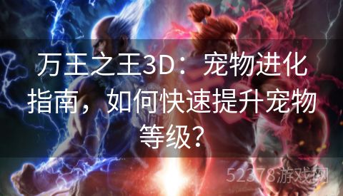 万王之王3D：宠物进化指南，如何快速提升宠物等级？