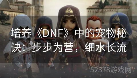 培养《DNF》中的宠物秘诀：步步为营，细水长流