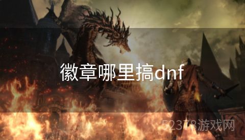 徽章哪里搞dnf