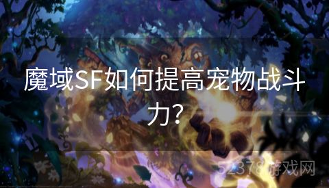 魔域SF如何提高宠物战斗力？