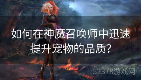 如何在神魔召唤师中迅速提升宠物的品质？