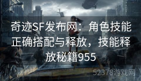 奇迹SF发布网：角色技能正确搭配与释放，技能释放秘籍955