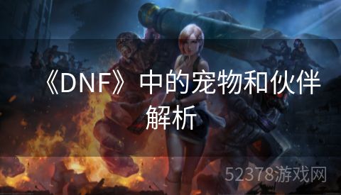 《DNF》中的宠物和伙伴解析