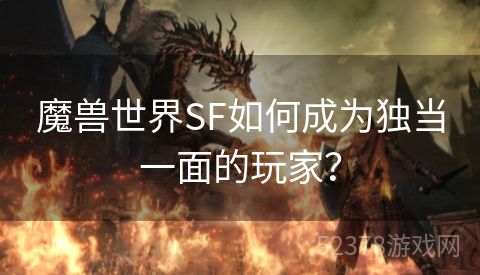 魔兽世界SF如何成为独当一面的玩家？