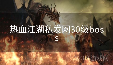 热血江湖私发网30级boss