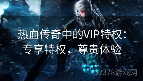 热血传奇中的VIP特权：专享特权，尊贵体验