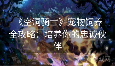  《空洞骑士》宠物饲养全攻略：培养你的忠诚伙伴