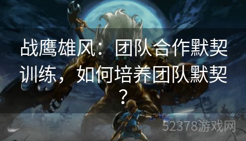 战鹰雄风：团队合作默契训练，如何培养团队默契？