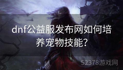 dnf公益服发布网如何培养宠物技能？