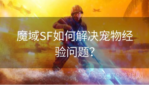 魔域SF如何解决宠物经验问题？