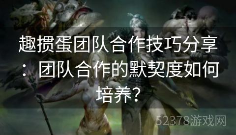 趣掼蛋团队合作技巧分享：团队合作的默契度如何培养？