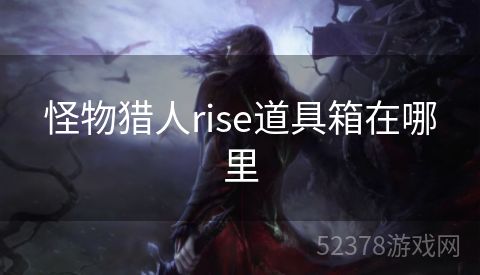 怪物猎人rise道具箱在哪里